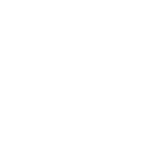 44Vergil44's emblem