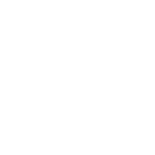 GuizinCA's emblem