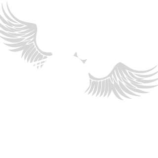 timmofey2905's emblem