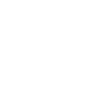 IguFG1417's emblem