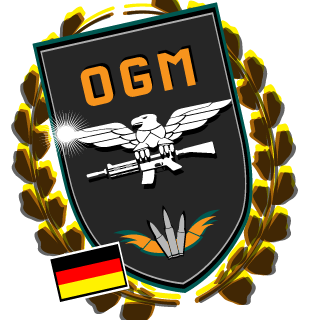 Sachsenlegion's emblem
