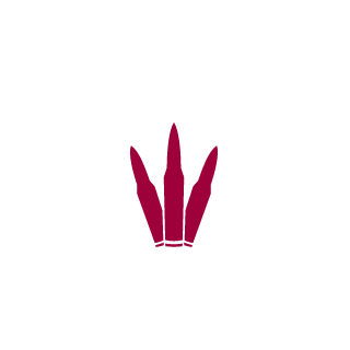 JUGGYXX's emblem