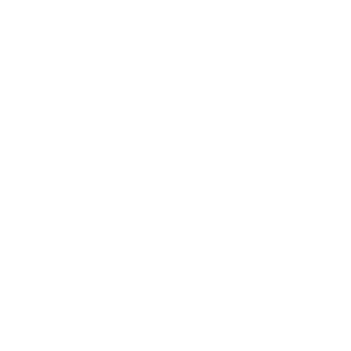 TerribleToys19's emblem