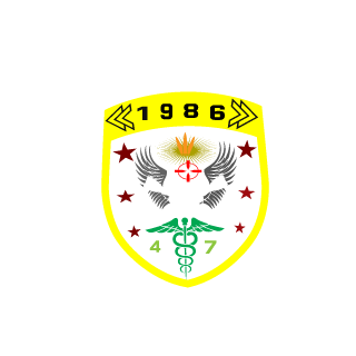 pautinyc4's emblem