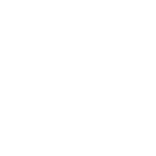 GUILLERMO-G13's emblem