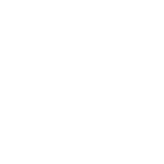 scrucks-Fernando's emblem