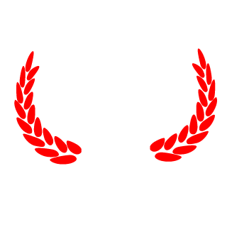 AlmightySkrzypel's emblem