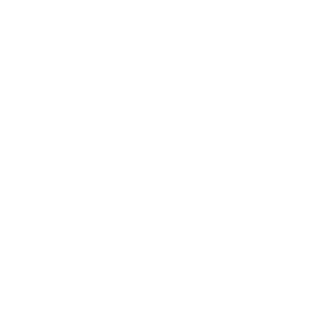 TeLeMaN-84's emblem