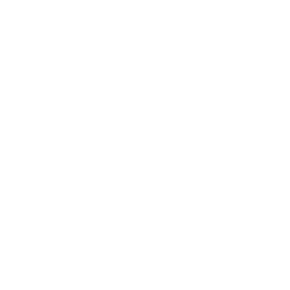 chr0n1k_Halo's emblem