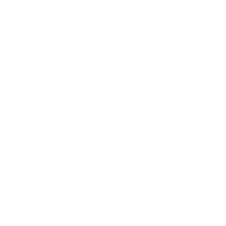 FuRiOuS313's emblem