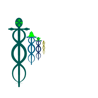 alexiomelo's emblem