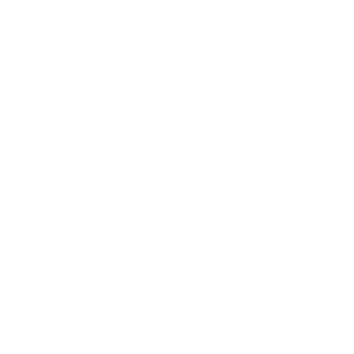 1st_Soldier_Hawk's emblem