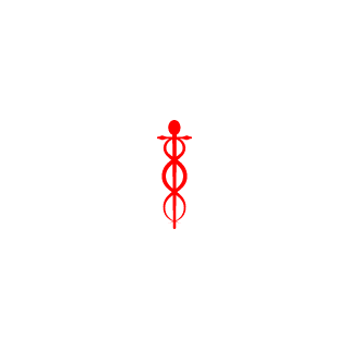 R0NIN68's emblem