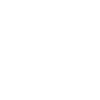 BlackDEATH-IRI's emblem