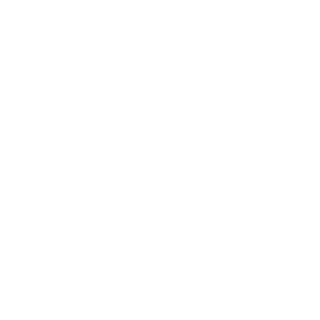 mtlguardian's emblem