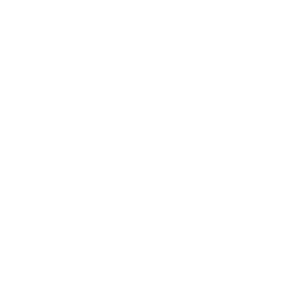 Flashik_1003's emblem