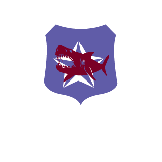 FallllenAngell's emblem