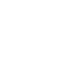 Slachyboy's emblem