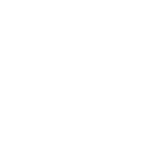 Ellyrion99's emblem
