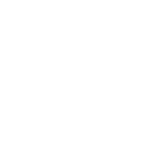 ShawnTawm's emblem