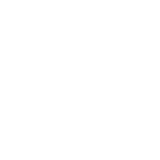1zenner's emblem