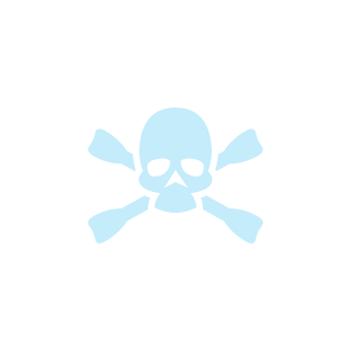 BUMMER777's emblem