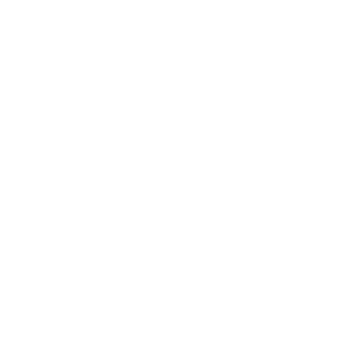 67_Fox_60's emblem