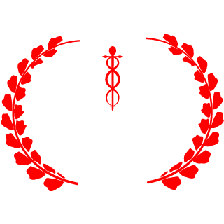LORDOFWAR6262's emblem