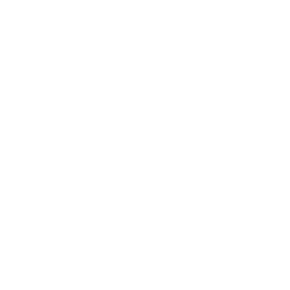 pixelsteroids's emblem