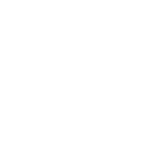 LIEUTEN4NTDAN's emblem
