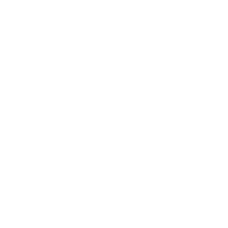 CN_komar's emblem