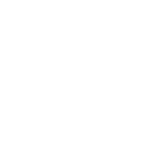 TheDeN1sS's emblem