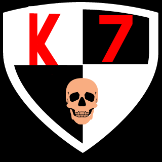 l_ViicToR_l's emblem