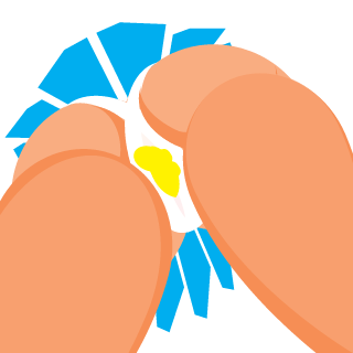Vitallystep's emblem