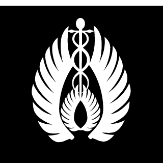 erickck99's emblem