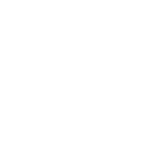 InsaneAlternativ's emblem