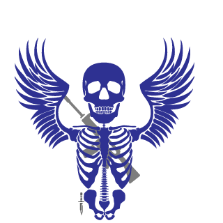 syhnn's emblem