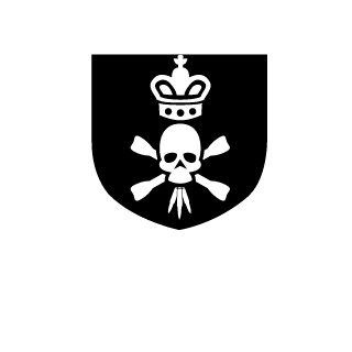 bossplayer211's emblem
