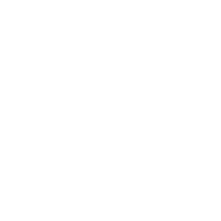 DelskiYT's emblem