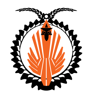 CosmikViking's emblem