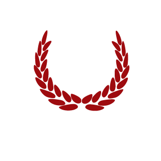 Storml0rd1's emblem