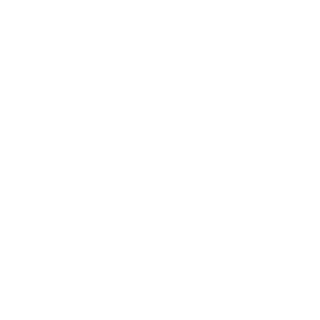 1337Fortuna's emblem