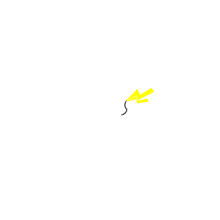 rasskazwar's emblem