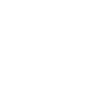 19pat91's emblem