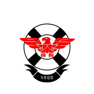 CapitaoTPP's emblem
