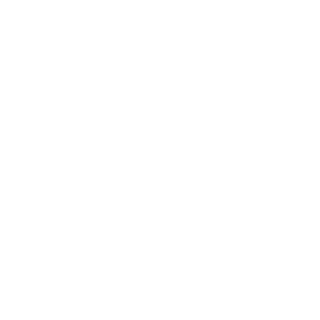 BeyondFrost's emblem