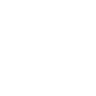 viniciuspmo34's emblem