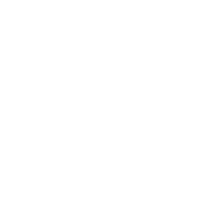 shangneizzz's emblem