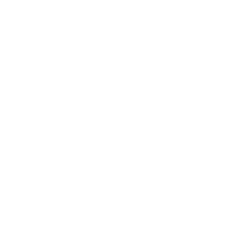 30329S's emblem