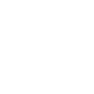 DobroeUtro1337's emblem